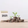 Maximum Insurable Income in Bulgaria 2026: €2,300 from 1 August