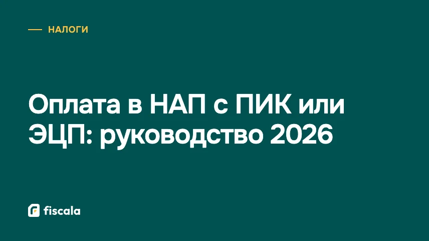 Оплата в НАП с ПИК или ЭЦП: руководство 2026